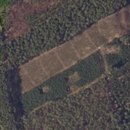 Satelita
