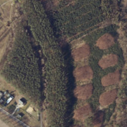 Satellite imagery of Rościnno - Pałac, PL