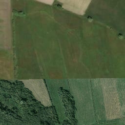 Satelita
