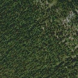 Satellite imagery of Badger Peak, CA