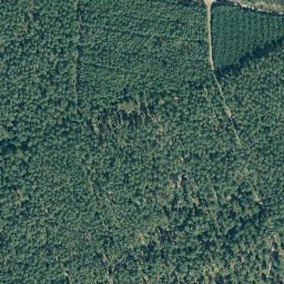 Satellite imagery of Siemsberg, DE