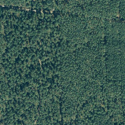 Satellite imagery of Siemsberg, DE