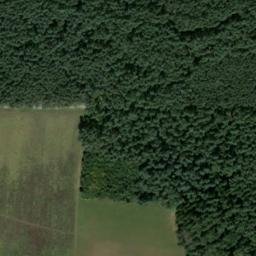 Satellite imagery of Reiherberg, DE