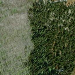 Satellite imagery of Mount Stevenson, CA