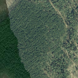 Satellite imagery of Dachsberg, DE