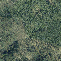 Satellite imagery of Dachsberg, DE