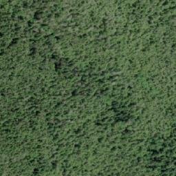 Satellite imagery of Cone Mountain, CA