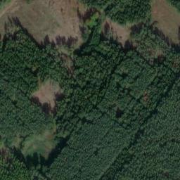 Satellite imagery of Schmiedeberg, DE