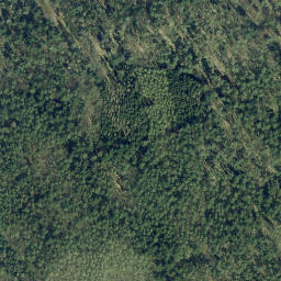 Satellite imagery of Dachsberg, DE