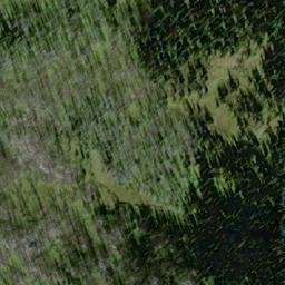 Satellite imagery of Mount Stevenson, CA