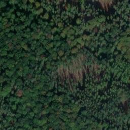 Satellite imagery of Schmiedeberg, DE