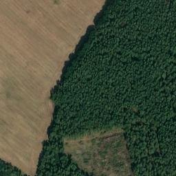 Satellite imagery of Rauheberg, DE