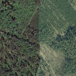Satellite imagery of Pfingstberg, DE