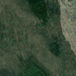 Satellite imagery of Dachsberg, DE