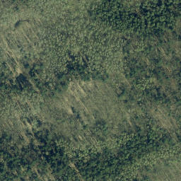 Satellite imagery of Dachsberg, DE