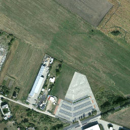 Satelita