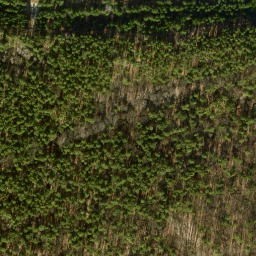 Satellite imagery of Richtfunkmast Berlin-Frohnau, DE