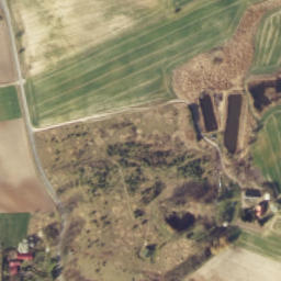 Satelita