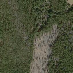 Satellite imagery of Whitetop Mountain, CA