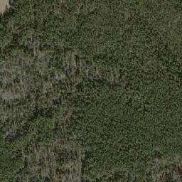 Satellite imagery of Whitetop Mountain, CA