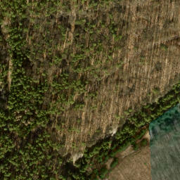 Satellite imagery of Richtfunkturm Berlin-Frohnau, DE