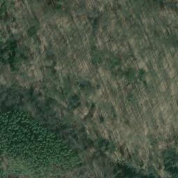 Satellite imagery of Eichberg, DE