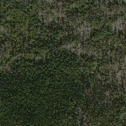 Satellite imagery of Whitetop Mountain, CA