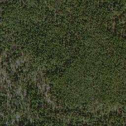 Satellite imagery of Whitetop Mountain, CA