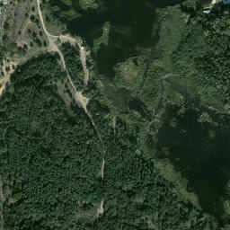 Satelita