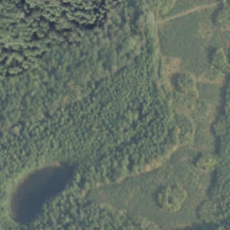 Satelita