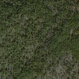 Satellite imagery of Whitetop Mountain, CA