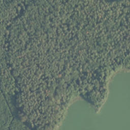 Satelita