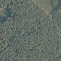 Satelita