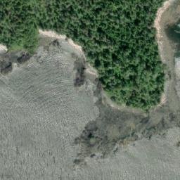 Satellite imagery of Dallain Point, CA