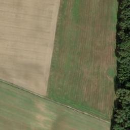 Satellite imagery of Nieszawa - Pałac z poł.XIX w., PL