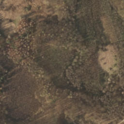 Satelita