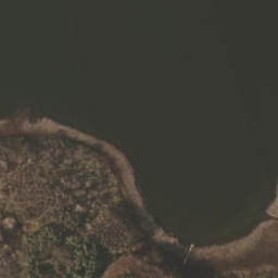 Satelita