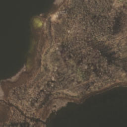 Satelita