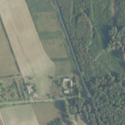 Satelita