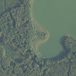 Satelita