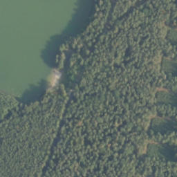 Satelita