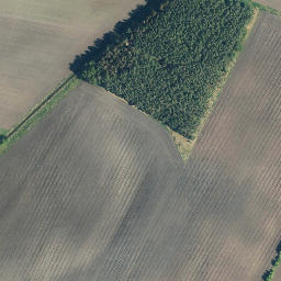 Satellite imagery of Schierlohsberg, DE
