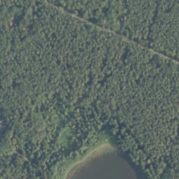 Satelita