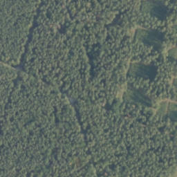Satelita