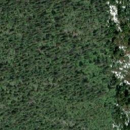 Satellite imagery of Forks Mountain, CA