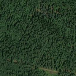 Satellite imagery of Tannenberg, DE