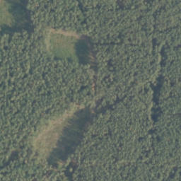 Satelita