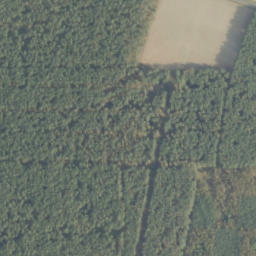Satelita