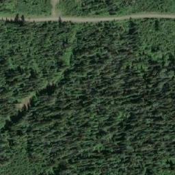 Satellite imagery of Forks Mountain, CA