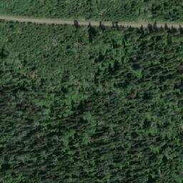 Satellite imagery of Forks Mountain, CA